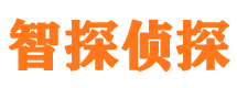 曲水市私家侦探